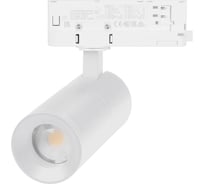 Светильник Arlight LGD-ARTEMIS-TRACK-4TR-R55-12W Day4000 1шт 048320