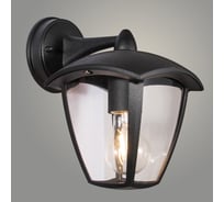 Светильник уличный настенный РОСТОК SJ17040-WD черный 1*E27 h235, SHJ22 988024248