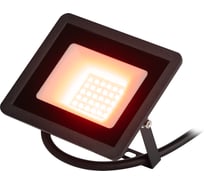 Прожектор светодиодный уличный ЭРА LPR025RED030 30 В,т красное свечение, 600 Лм, IP65 Б0064721