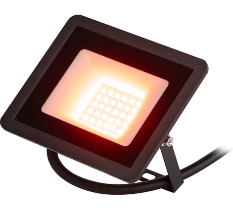 Прожектор светодиодный уличный ЭРА LPR-025-RED-030 30Вт красное свечение IP65 Б0064721