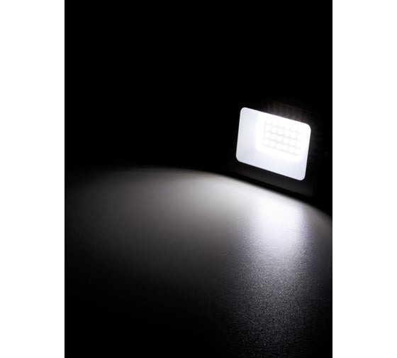 Прожектор TDM ELECTRIC СДО-05-030 30 Вт, 2400 лм, 4000 К, 220-240 В, IP65, черный, Народный SQ0336-0314