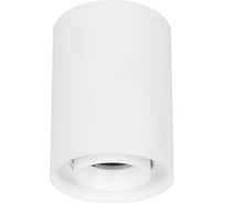 Светильник Arlight SP-FOCUS-R86-10W Day4000 1шт 054858