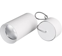 Светильник Arlight SP-POLO-HANG-R85-15W White5000 1шт 027426