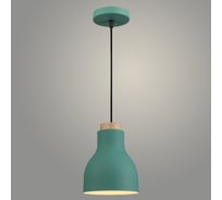 Подвес РОСТОК 2039/1HQ GN+WT зеленый/белый, 1x60W, E27, d120 h210, TXN23 988371896