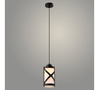 Подвес РОСТОК 20568/1HQ BK+FR черный, 1x40W, E27, h900, WAN23 988032434