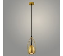Подвес РОСТОК 23665/1HQ BK+GD черный/золото, 1x25W, GU10, h900, WAN23 988032448