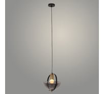 Подвес РОСТОК 230911/1HQ BK+SMOKE черный, 1x40W, E27, d200 h1200, XLD23 988372326