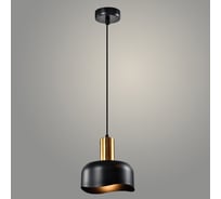Подвес РОСТОК 23788/1HQ BK+BR черный/латунь, 1x40W, E27, h1000, WAN23 988372460