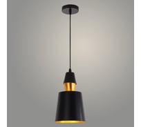 Подвес РОСТОК 7465/1HQ BK+GD черный/золото, 1x60W, E27, d150 h280, TXN22 988023180