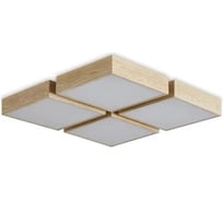 Потолочный светильник Freya Cubba FR5450CL-L120BG