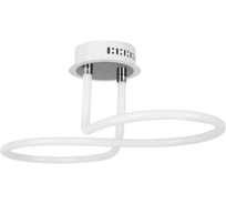 Потолочный светильник Freya Fancy FR6059CL-L45W