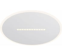 Потолочный светильник Freya Shine FR6105CL-L73W