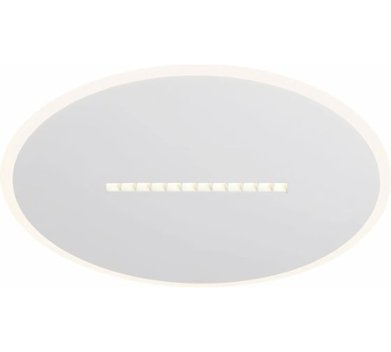 Потолочный светильник Freya Shine FR6105CL-L73W 1