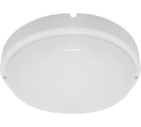 Светильник светодиодный FERON пылевлагозащищённый, с датчиком освещенности, 12W, 960Lm, 4000K, в пластиковом корпусе, IP65, белый, 140x35мм, AL3015, 51656