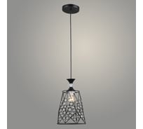 Подвес РОСТОК N5788/1HQ BK черный, 1x40W, Е27, d180 h800, QH23 988035259