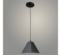 Подвес РОСТОК N5817/1HQ BK черный, 1x40W, Е27, d165 h800, QH23 988035289