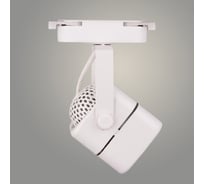 Светильник трековый РОСТОК LGD-004 40W GU10 WH белый, STB23 988369111
