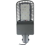 Светодиодный светильник LedNik Street 40 Rocket 120 4000К LN65040744300