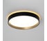 Светильник с подсветкой Citilux ETALON LED Чёрный+Золото CL750241 1