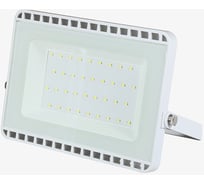 Светодиодный прожектор LEDS POWER 10Вт 6000К (серия Е027) 001074