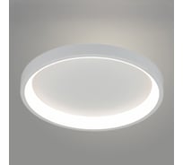 Светильник РОСТОК 2532/500 WT белый 54W LED 3000К-6000К d500 ПДУ диммер, GNV23 988371343