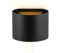 Светильник светодиодный для подсветки стен AM Group AM115-BK/GOLD AM115-2X3W BK+GD