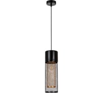 Подвесной светильник ARTE LAMP CASTELLO A7068SP-1BK