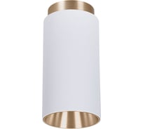 Точечный накладной светильник ARTE LAMP CONE A5361PL-1WH