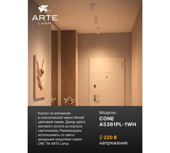Точечный накладной светильник ARTE LAMP CONE A5361PL-1WH