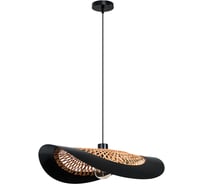 Подвесной светильник ARTE LAMP WOODSTOCK A7059SP-1BK