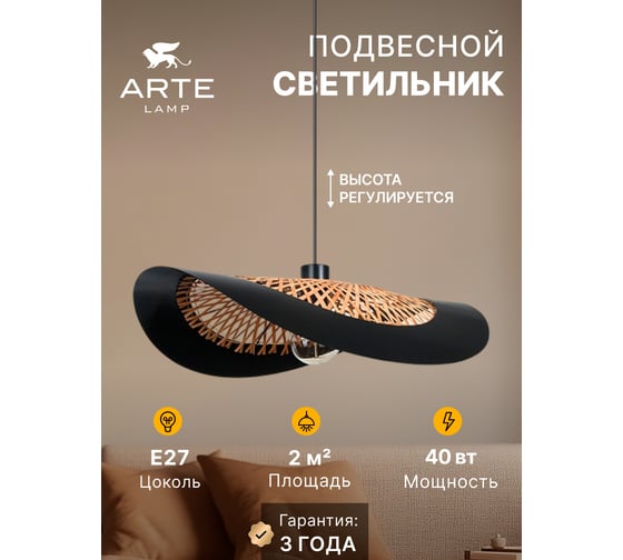 Подвесной светильник ARTE LAMP WOODSTOCK A7059SP-1BK