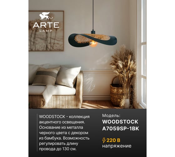 Подвесной светильник ARTE LAMP WOODSTOCK A7059SP-1BK