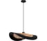 Подвесной светильник ARTE LAMP WOODSTOCK A7059SP-1BK 1