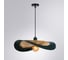 Подвесной светильник ARTE LAMP WOODSTOCK A7059SP-1BK 2