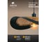 Подвесной светильник ARTE LAMP WOODSTOCK A7059SP-1BK 6