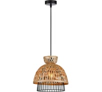 Подвесной светильник ARTE LAMP WOODSTOCK A7070SP-1BK