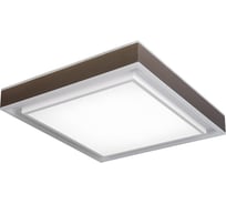 Потолочный светильник iLEDEX Summery белый B6233-117W/520*520 WH