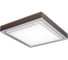Потолочный светильник iLEDEX Summery белый B6233-117W/520*520 WH 1