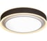 Потолочный светильник iLEDEX Summery белый B6233-91W/520 WH 2