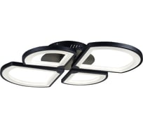 Потолочный светильник iLEDEX River черный X024-4 BK