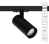 Трековый светильник ARTE LAMP BENE A1936PL-1BK