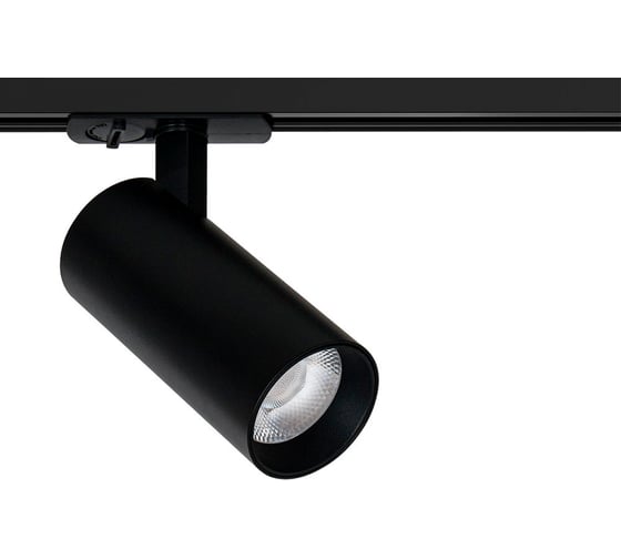 Трековый светильник ARTE LAMP BENE A1936PL-1BK