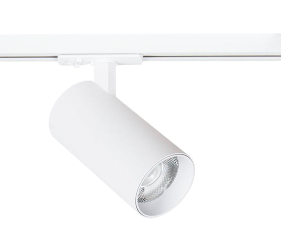 Трековый светильник ARTE LAMP BENE A1947PL-1WH