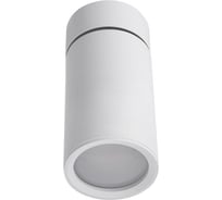 Накладной светильник Lucia Tucci Longo LTP-C007-01GU10-W