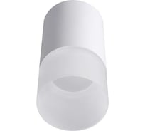 Накладной светильник Lucia Tucci Caruso LTP-C006-01GU10-W