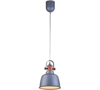 Подвесной светильник Lucia Tucci INDUSTRIAL 1820.1 SAND SILVER