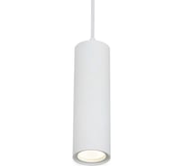 Подвесной светильник-трубочка aax.tech Kernel, D60, 400 мм, 10 Вт, 4000К, Белый AAX-Kernel-p-60/400-10W-4K-W