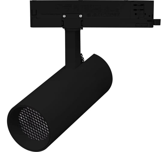 Светильник Arlight LGD-GERA-2TR-R55-10W Warm3000 1шт 055057