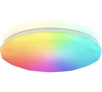 Потолочный светодиодный светильник Ambrella light с пультом WH белый IP20 66W 3000K-6500K+RGB D480*65 (ПДУ ИК) FZ418