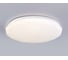 Потолочный светодиодный светильник Ambrella light с пультом WH белый IP20 66W 3000K-6500K+RGB D480*65 (ПДУ ИК) FZ418 10
